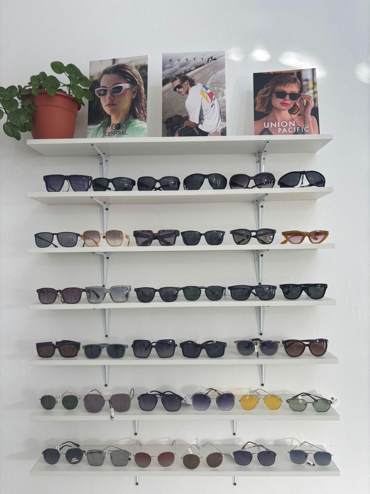 Exhibidor de lentes de sol - Óptica Vía Roma